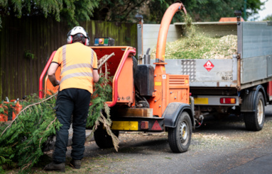 Steve Molyneux Tree Care - Battle, Hastings, St Leonards, Bexhill Eastbourne and surrounding areas within East Sussex Kent and Surrey
