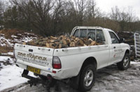 Logs & Mulch  Molyneux Tree Care Kent and East Sussex